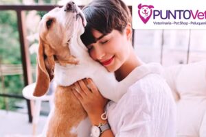 Veterinaria y Pet Shop PuntoVet Pablo Podest&aacute;