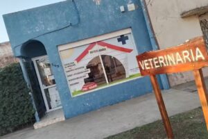 Veterinaria yamila tissera