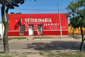 Veterinaria Zam Blas