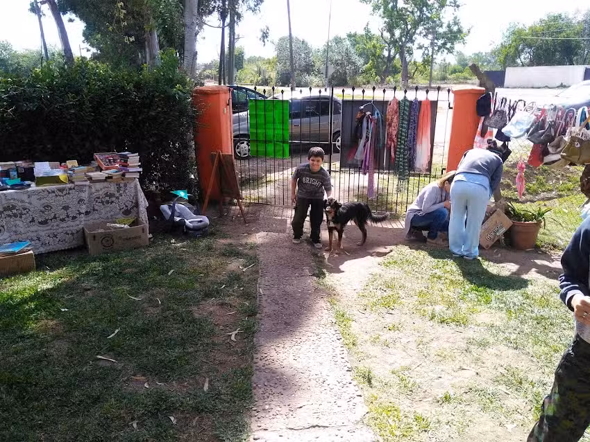 Veterinaria Zooluciones