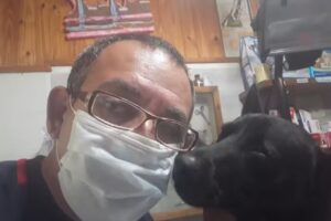 Veterinario Dr Hugo Eduardo Candino.