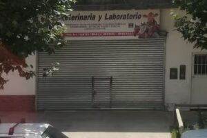 Veterinario Martin Cipolla