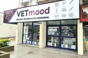 VETmood &ndash; Centro Veterinario Integral