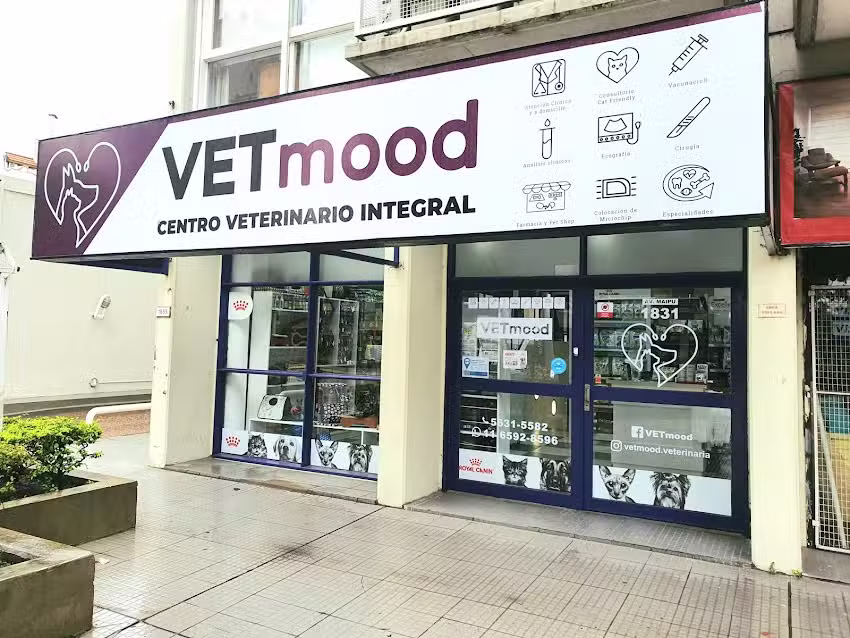 VETmood &ndash; Centro Veterinario Integral