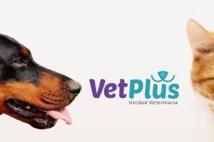 VetPlus. Unidad Veterinaria