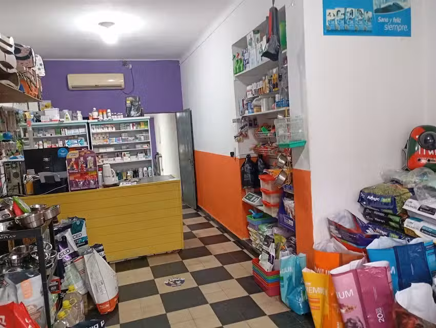 VipVet Clinica Veterinaria