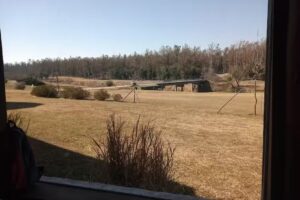 Yanina Mautone Asistencia Veterinaria