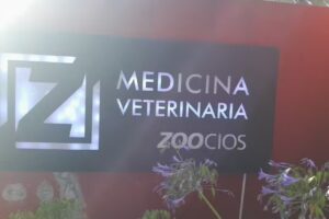 Zoocios Cl&iacute;nica Veterinaria