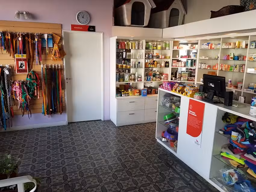 Zoomania