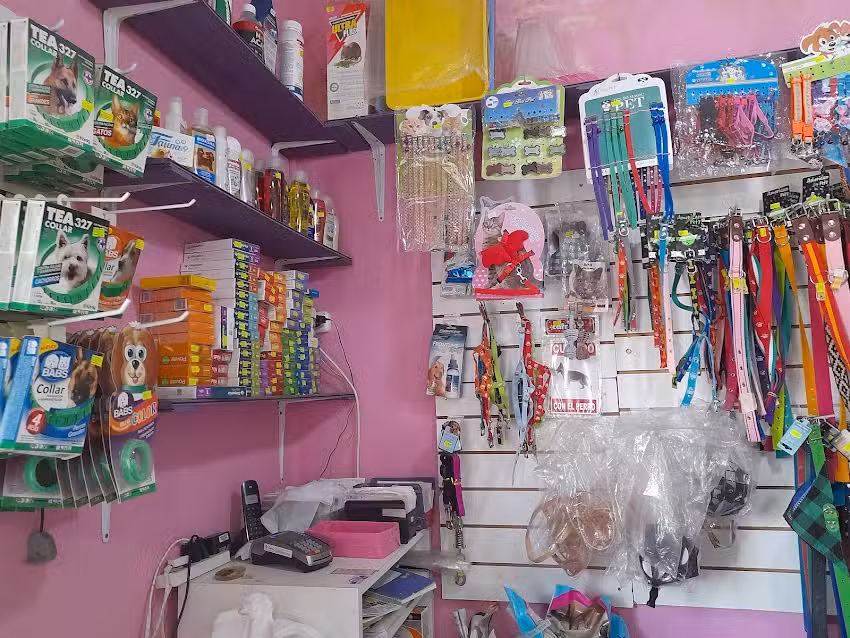 Zoomedic salud & belleza