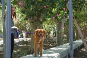 Zoonosis General San Martín