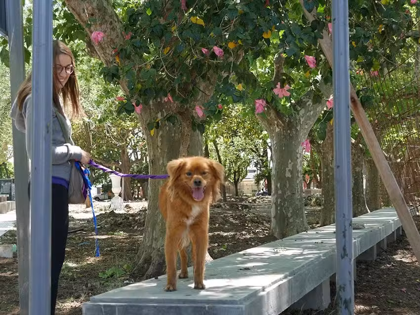 Zoonosis General San Mart&iacute;n